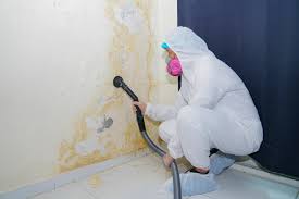 Forensic Mold Investigation in Winona, MS